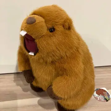 시끄러운 수컷의 울음소리!! 마모트 음성 봉제 인형