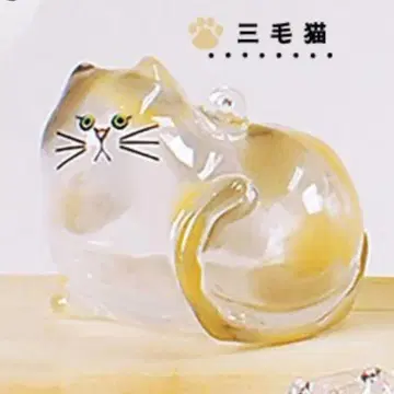 우리 집 고양이 삼색 고양이