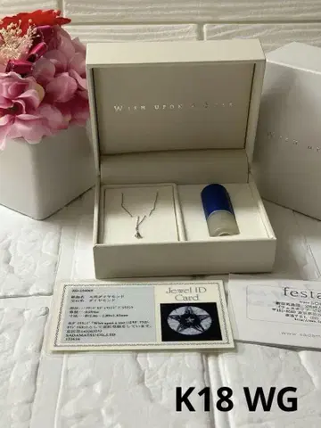 Wish Upon a Star 화이트 골드 목걸이 다이아몬드