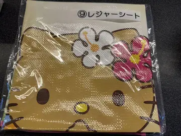 일광화상 헬로키티 레저 시트