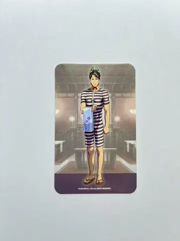 대역전재판 호소노 사토시 트레이딩 카드