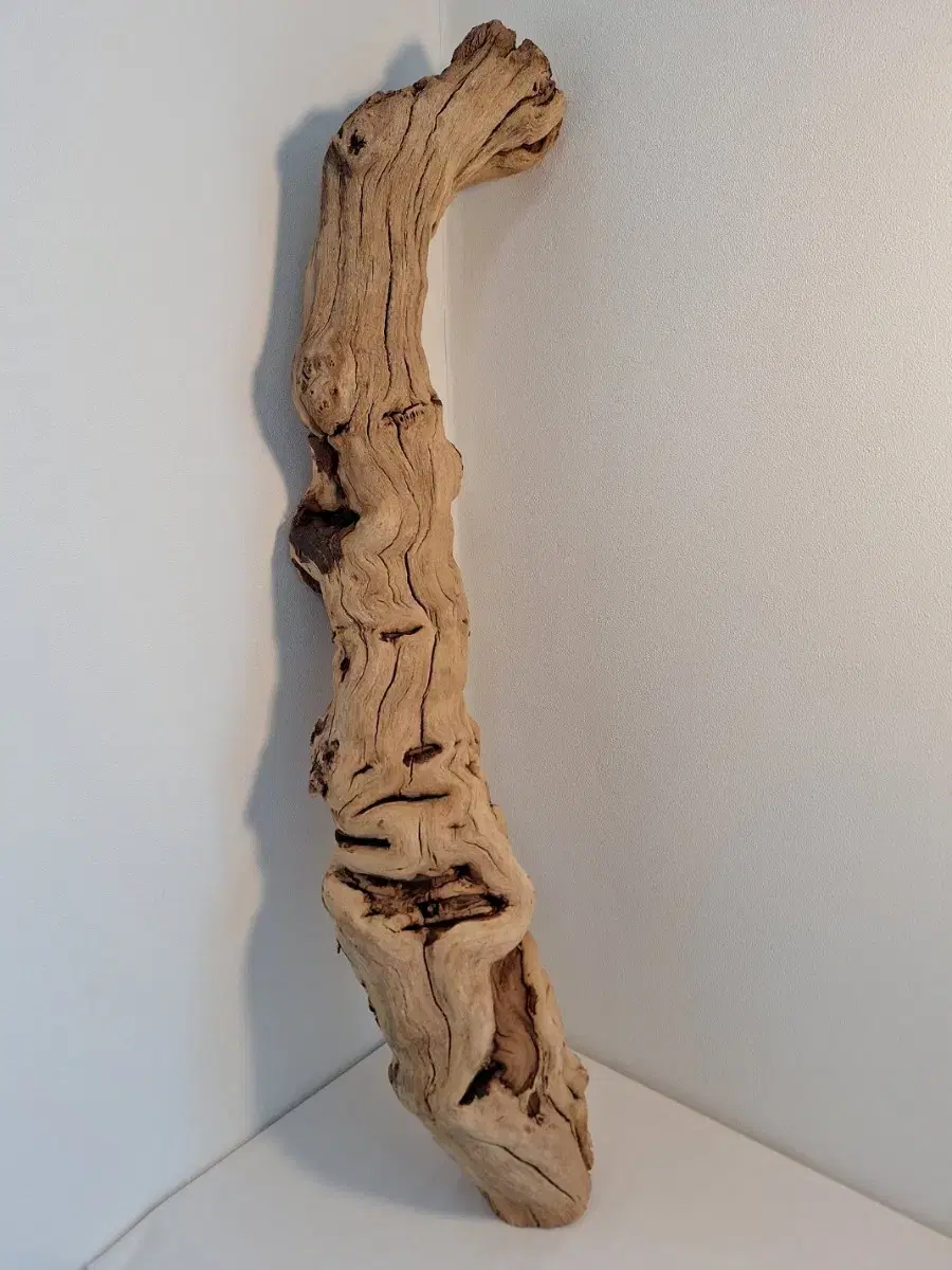 Selling California Natural Grapevine Driftwood