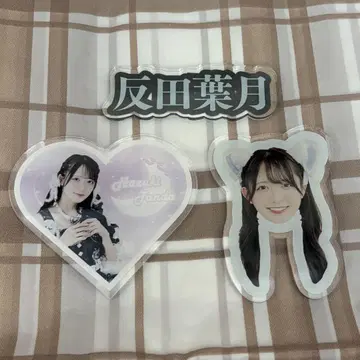반다 하즈키 헤어 클립