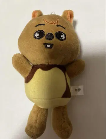 straykids 한 쿠오카 푸딩 봉제 인형