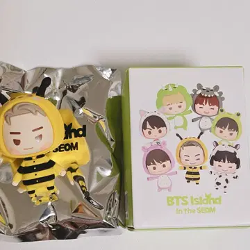 BTS FESTA 페스티벌 라키드로 인더솜 RM 남