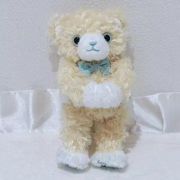 우타프리 MINI PRINCE CAT 아쿠아 뼈대 없음 프린스 캣