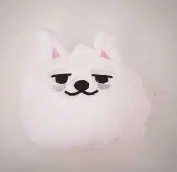 용몬 키링 페이 키링 키케이스