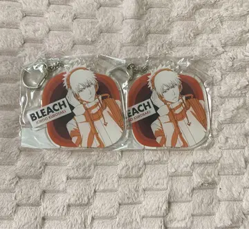 BLEACH 쿠로사키 이치고 복권 메이트 애니메이트 아크링 키링