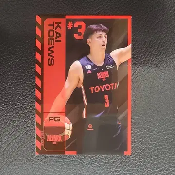 B.LEAGUE 선수 카드 프라이스 특전 테이브스 우미 GiGO 한정판