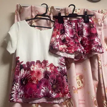 Rady 셋업