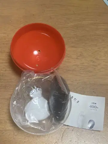 우리 아이의 털뭉치
