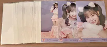 오바 하나 브로마이드 세트