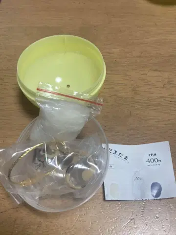 우리 집의 고양이 삼색 고양이