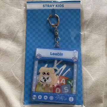 Stray Kids LeeBit TOY 키링