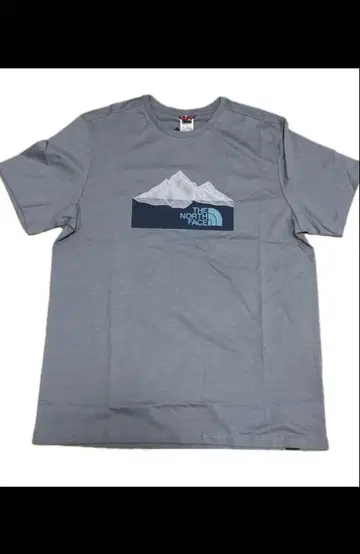 THE NORTH FACE 그레이 티셔츠