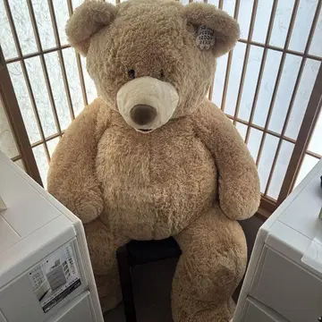 코스트코 곰 봉제 인형 135cm