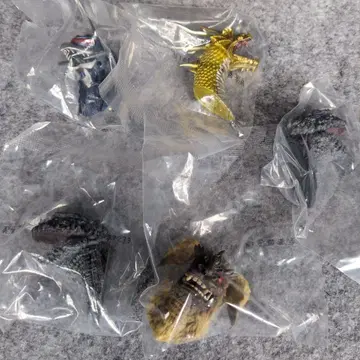 제일복권 고질라 몬스터 헤드 마그넷 5종 세트