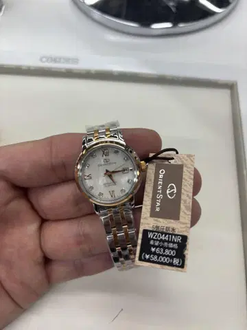 ORIENT STAR 오토매틱 손목시계 WZ0441NR