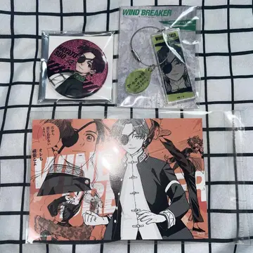 WIND BREAKER 윈브레이커 소샹샹 비행 글리터 캔뱃지 키링