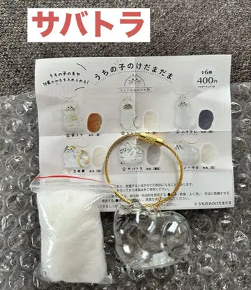 우리 아이의 케다마다마 사바토라 가챠가챠 캡슐 토이