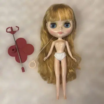 브라이스 질리언즈 드림 본체