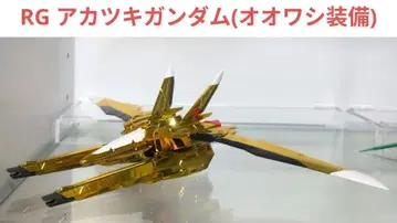 RG 1/144 아카츠키 건담 (대수리 장비)