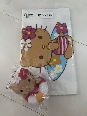 일광화상 키티