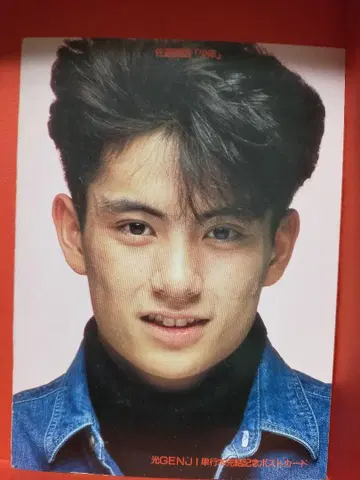 빛 GENJI 엽서 15장