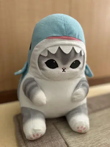 상어 고양이 봉제 인형 big