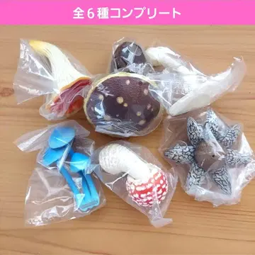 버섯 마그넷 가챠가챠 풀 컴프 베니텐구타케 독버섯