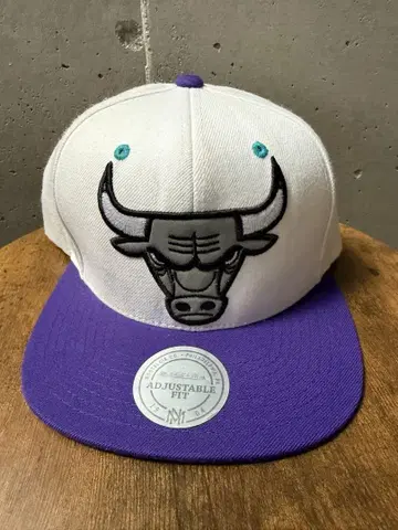 Mitchell & Ness 불스 조던 5 그레이프 캡