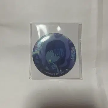 프로세카 글리터 캔뱃지 vol.10c 아오야기 토야