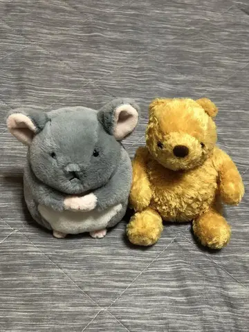 친치라 포차누이 하우스 오브 로제 클래식 푸 봉제 인형