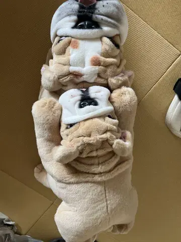 불독 봉제 인형 나가타니엔 2개