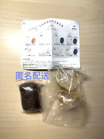 우리 아이의 케다마다마 C-pla 한정판 녹색 고양이