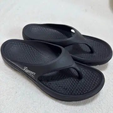 다나 미즈구모 플립