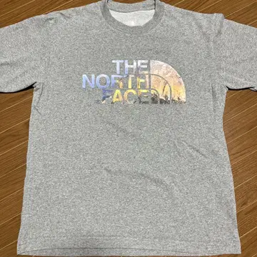 THE NORTH FACE 그레이 티셔츠