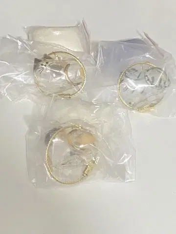우리 집 고양이 삼색 고양이 사바트라