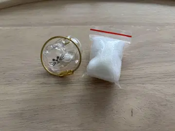 우리 아이의 잿가루 가챠 노멀