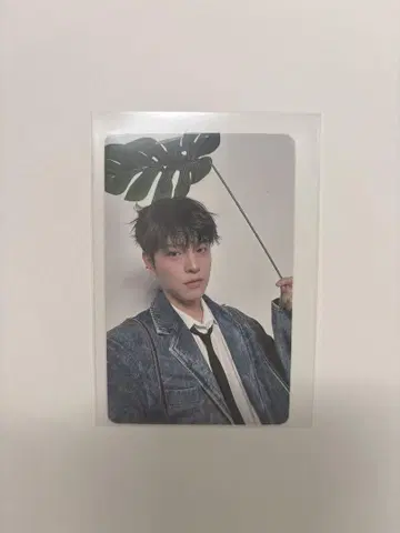 스트레이키즈