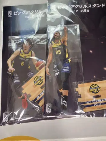 B.LEAGUE 아크릴 카드 세트 GiGO 한정 히에지마 신 뉴빌