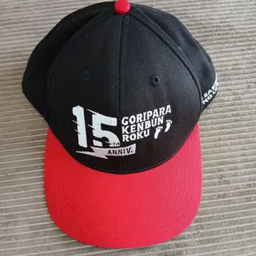 고리파라 기행기 15주년 캡