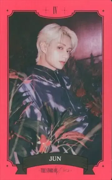 SEVENTEEN THE STORY OF Eros JUN 포춘 카드