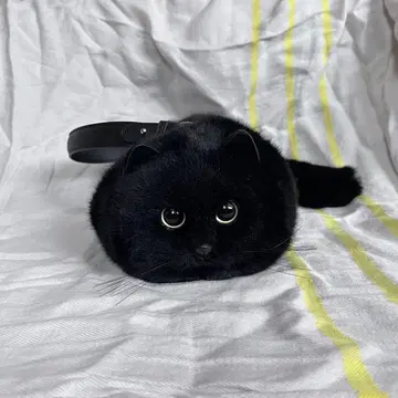 HUIJUFU 고양이 백 봉제 인형