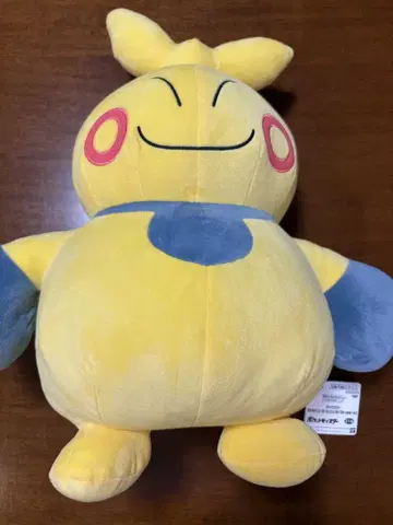 포켓몬 마쿠노시타 봉제 인형 새상품