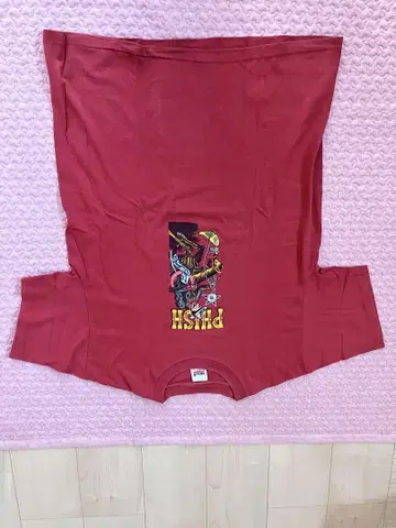 피시