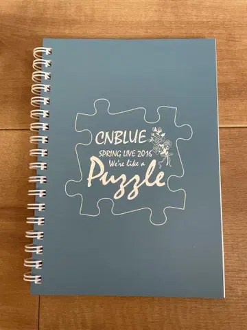 CNBLUE 반지 노트