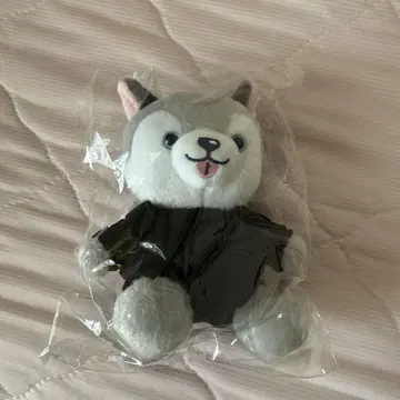 마쓰무라 호쿠토 노키도아 봉제 인형 사진 세트