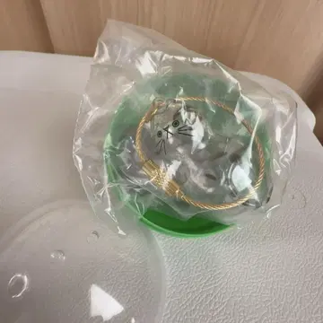 우리 아이의 털뭉치