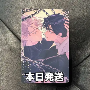 뿌리 없는 나무 럭키 드로 포토 카드 한국 BL Daybreak